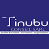 TINUBU CONSEIL
