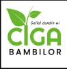 CIGA