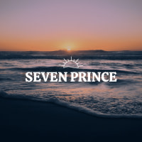 SEVEN-PRINCE COLORS