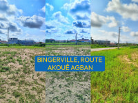 Terrains  en vente Bingerville, route Akouê Agban